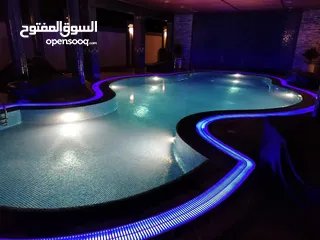  12 مؤسسة الوادي الأخضر للمقاولات العامة ( مسابح - شاليهات - مزارع - ديكورات - لاند سكيب )