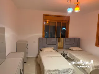  28 شقة مفروشة في المصيون