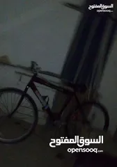  7 بسكليت 2025