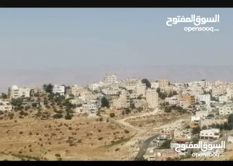  2 قطعة ارض للبيع السلط  مطل ع شارع الستين