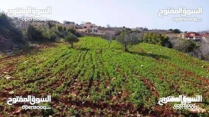  3 ارض للبيع في عجلون خلف مطعم قمه الياسمين السياحي من قرب مستشفى لاميره هيالعسكري100ألف كامله4دونمات
