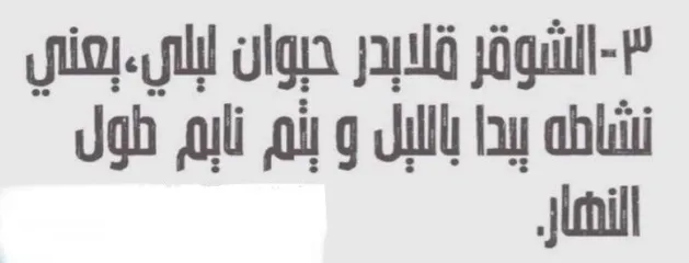  5 للبيع شوقر قلايدر ربوه