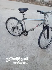  2 بسكوليت الماني جنط 26