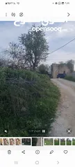  6 ارض كوشان طابو منطقه B مطله وكاشفه. وسط البلد يصلها شارع وجميع الخدمات حولها فلل