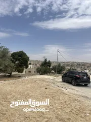  5 من المالك ،جنوب عمان نافع قرب السوق المركزي + اللبن 640 قرب شارع المية  .