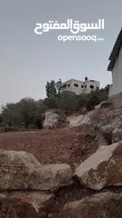  6 كوبر / أرض للبيع مساحه 750 متر مشجره بالزبتون