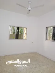  13 شقة فارغه للايجار الهاشمي الشمالي