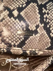  2 لصاحبات الذوووووق الرفيع Aldo print snake