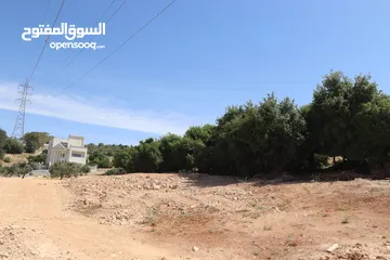  2 ارض للبيع في بدر الجديده 500م حوض الحديب باطلاله جميله تصلح لبناء فيلا فخمه بالقرب من دوار التعبئه