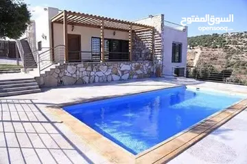  12 تنسيق الحدائق  نجيل بناء شلال نافورة باربكيو