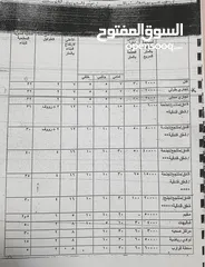  6 أرض 10 دونم ب أجمل مناطق البحر الميت على الشط السياحي