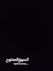  11 حساب بلوكس فروت للبيع  لفل 550  فواكه نادرة  فلوس 2,500,000  توزيع ممتاز  قابل للتفاوض