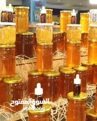  2 مناحل وعسل زهور الشمال خبره السنين نضعها بين يديك