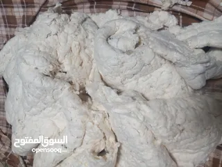  12 قطن و بوليستر جديد