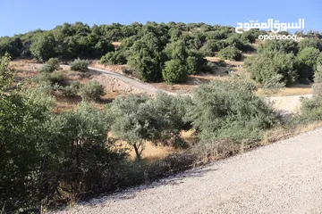 8 ارض للبيع ماحص مساحة 760م  اطلاله عاليه بالقرب من بدر الجديده تبعد عن اشاره النسر 10دقائق منطقه فلل