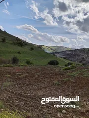  14 قطعه أرض في اجمل مواقع عجلون