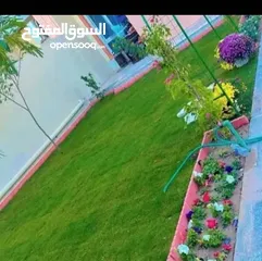  14 التقوى لتنسيق الحدائق