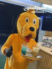  6 قهوه للبيع مرخصه بسعر مغري جدا