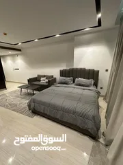  2 LUXURY STUDIO FOR RENT IN SEEF