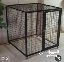  17 تشيك مزارع