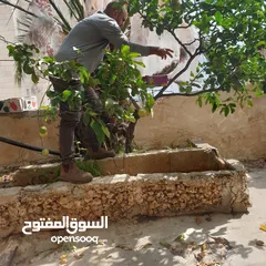  2 بيت 3 طوابق للبيع