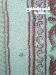  3 سجاد عدد 2 المقاس ( 280 *198 سم )