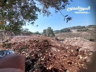  5 ارض للبيع في كوبر طابو وجاهزه للبناء