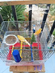 2 ذكرين كنار جاهزات بالصلاة على النبي