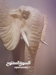  3 مجسم كبير ل رأس الفيل