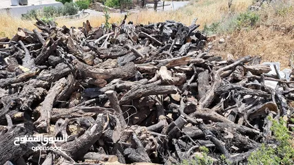  6 حطب زيتون/لوزيات ناشف
