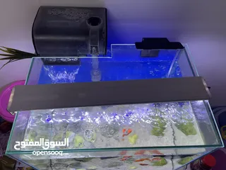  2 Fish tank with fish and accessories