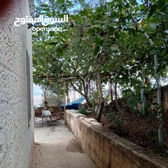  1 شقة شبه استديو
