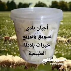  6 جبنة غنم صافي بيضاء مغلية 