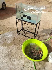  4 حوض سمك للبيع