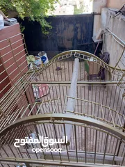  20 قفص ببغاء كبير يتسع لأكثر من طير مستعمل نظيف