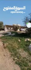  1 ارض من أراضي اربد في قريت بيت يافا معمر عليها بيت قديم