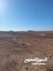  2 ارض للبيع شرق جامعة العلوم والتكنولوجيا