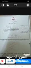  2 قطعتين ارض للبيع في حاتم الظهر كل قطعة مغروره القطعه الأولى 722 متر ع شارعين واصل مي وكهربا مزروعه