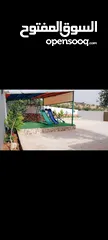  5 شالي للايجار اليومي