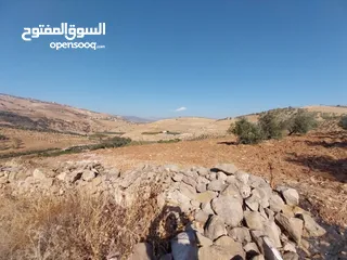  4 قطعة أرض للبيع في جرش الكفير بالقرب من مشتل الفيصل  ( Property ID : 39814 )