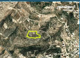  1 ارض في بزاريا - نابلس تصنيف أ مالك واحد مساحه 8144  متر  دونم منطقه وادي المساقيع للبيع او البدل