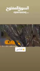  2 خبره بتجهيز مطاعم وجبات سريعه