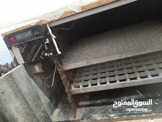  7 فقاسه بيض دجاج وفري