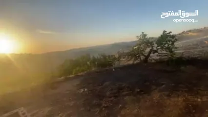  11 ارض مع بناء قائم