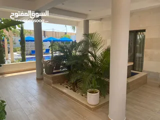  16 شاليه مفروش فرش فاخر للايجار في منطقه البحر الميت البحيره