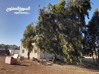  7 بيع منزل السيد سامي دبيس