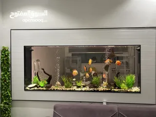  3 A large fish tank