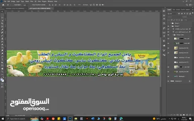  3 ابو يامن لجميع انواع الكتاكيت