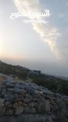  2 ارض في حرش السعادة