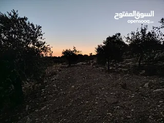 8 ارض للبيع مساحة4300م وعلى الواقع 12دونم تصلح بيت ريفي شاليه ارض زراعيه ويوجد فيها بيت قيد الانشاء